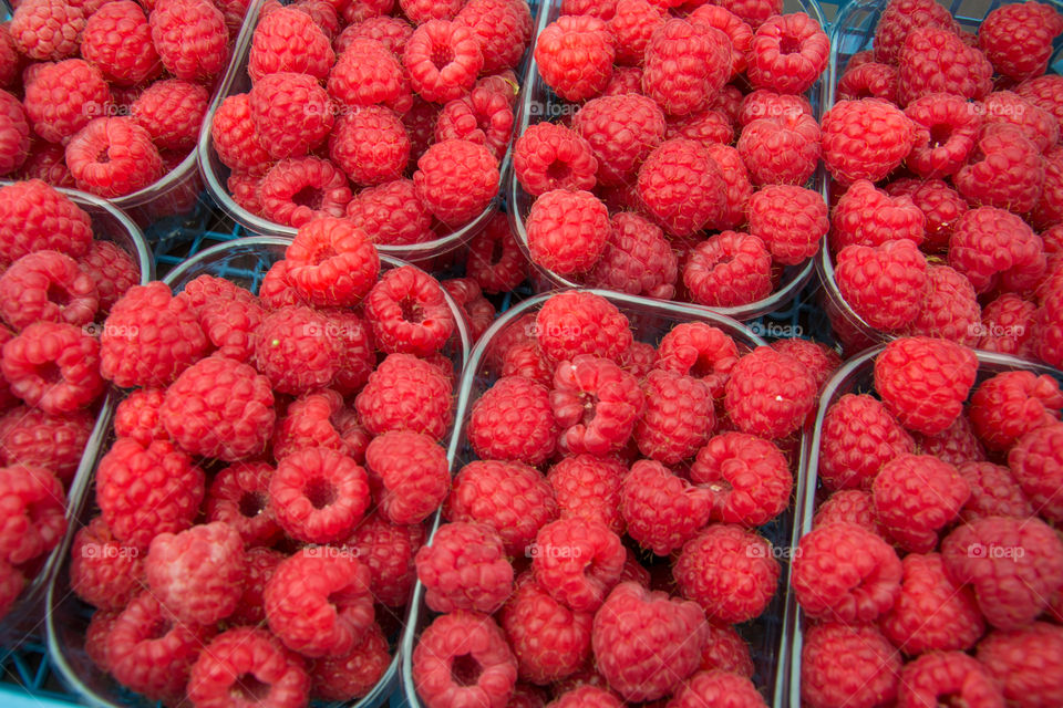Raspberries for sale