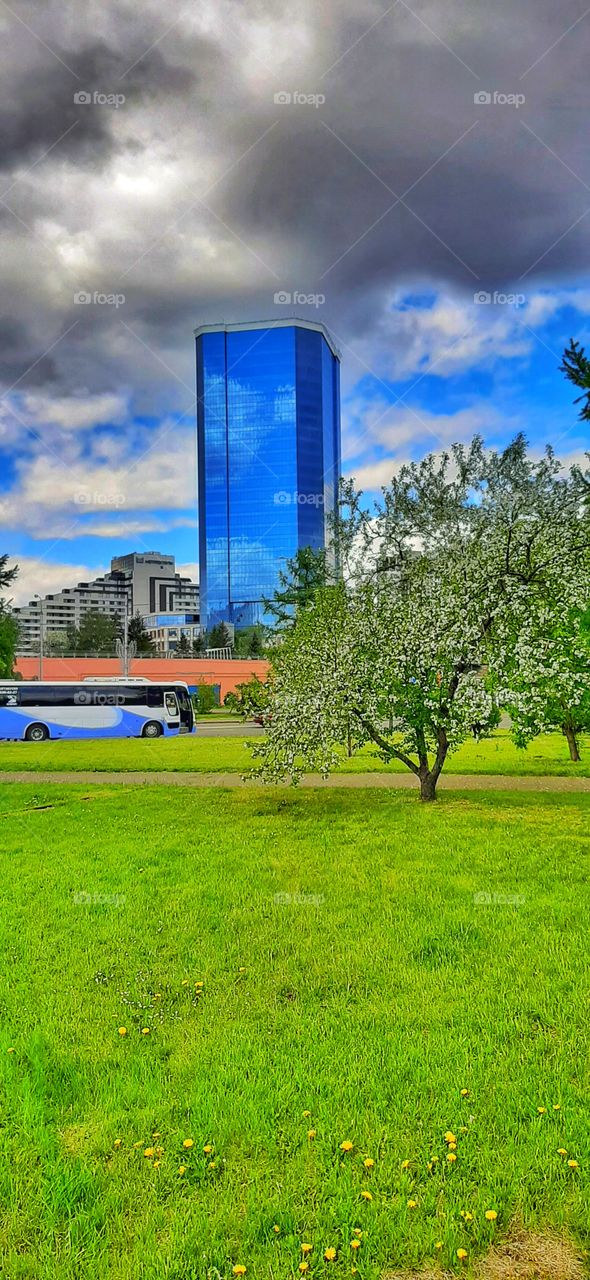 здание с синими стеклами