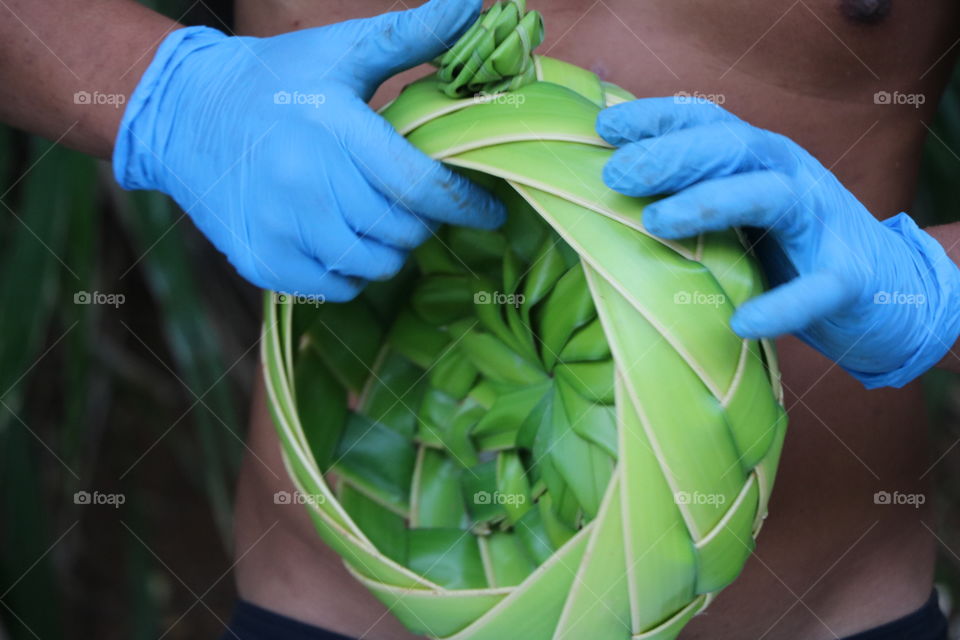 Human hands with blue gloves holding green basket made of plant