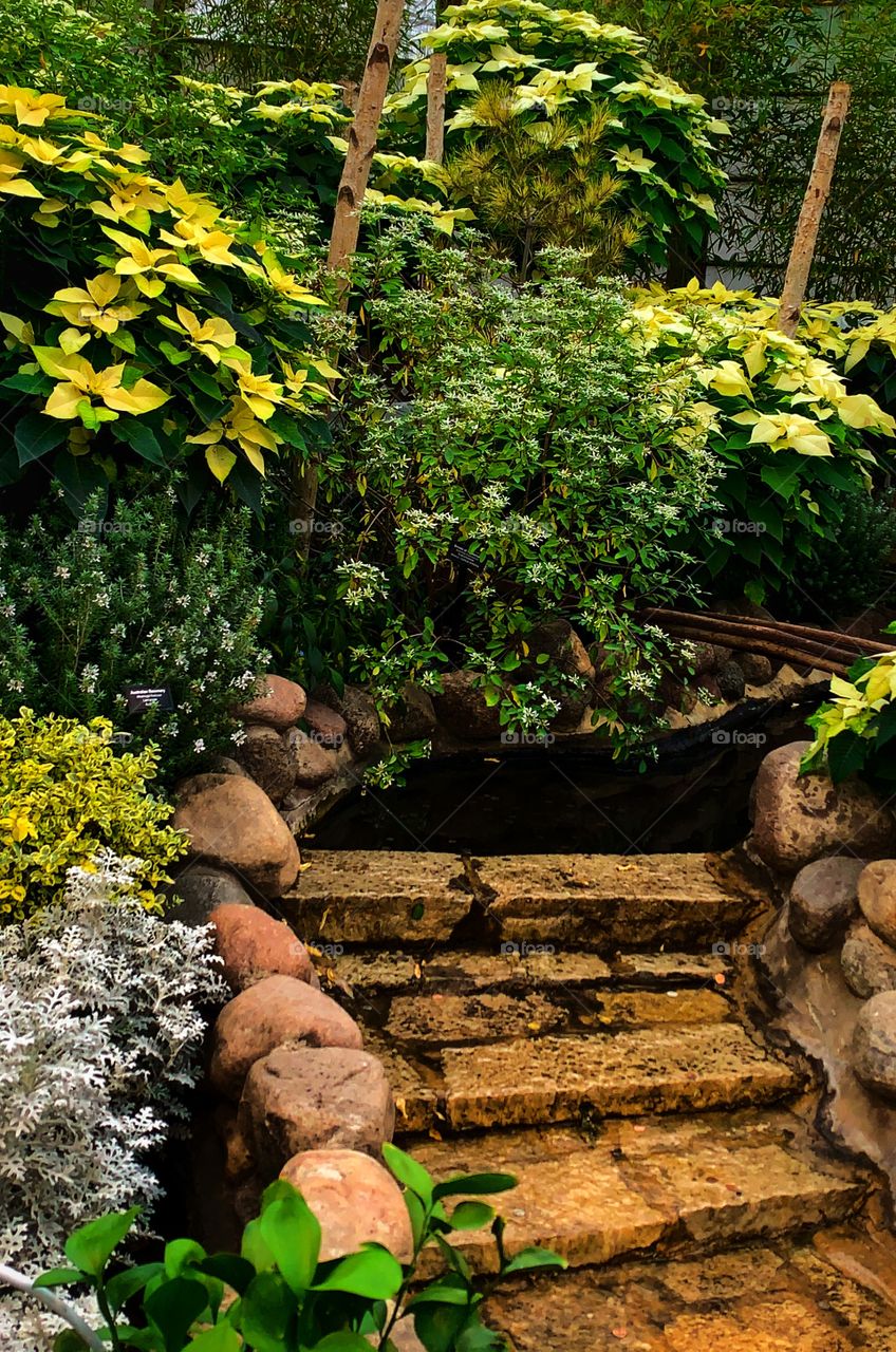 Stairs leading up to a little pond—taken in Chicago, Illinois 