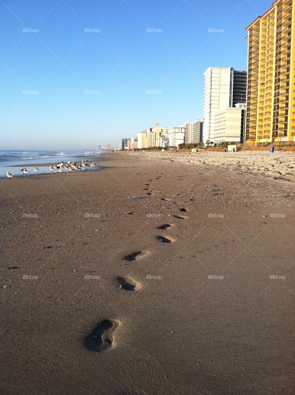 Footsteps in the sand