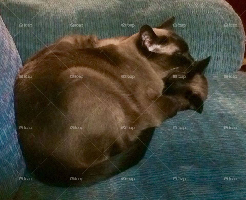 Ting keeping his sister safe.
Her hearing is going, so he looks out for her...