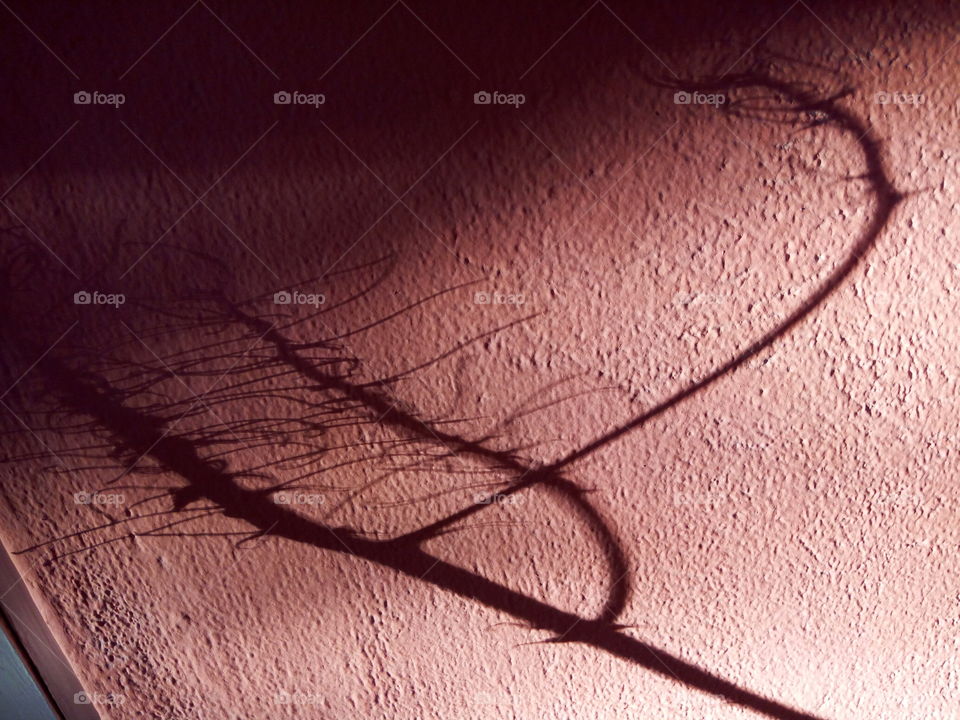 dwindling evening shadows