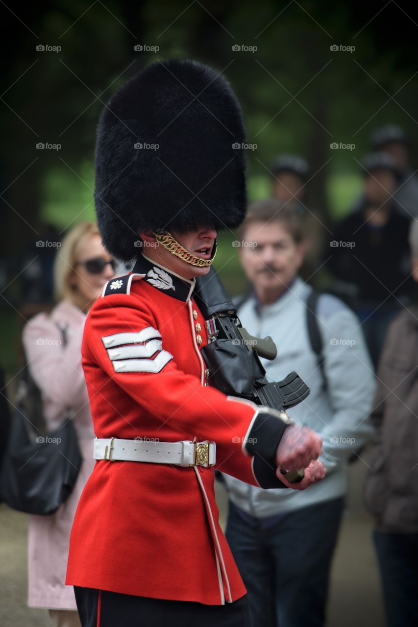 Grenadier Guard