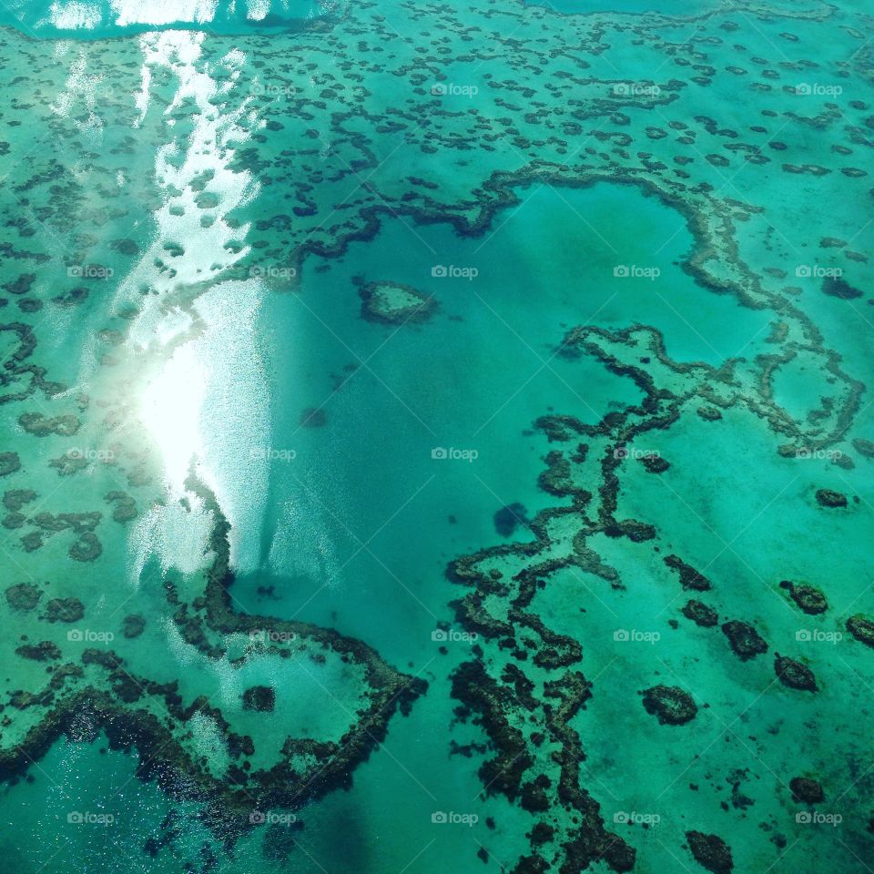 Flying over The Great Barrier Reef 
