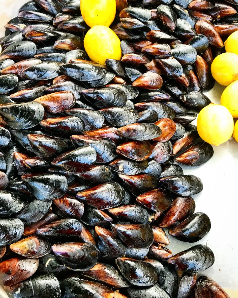 Mussels 