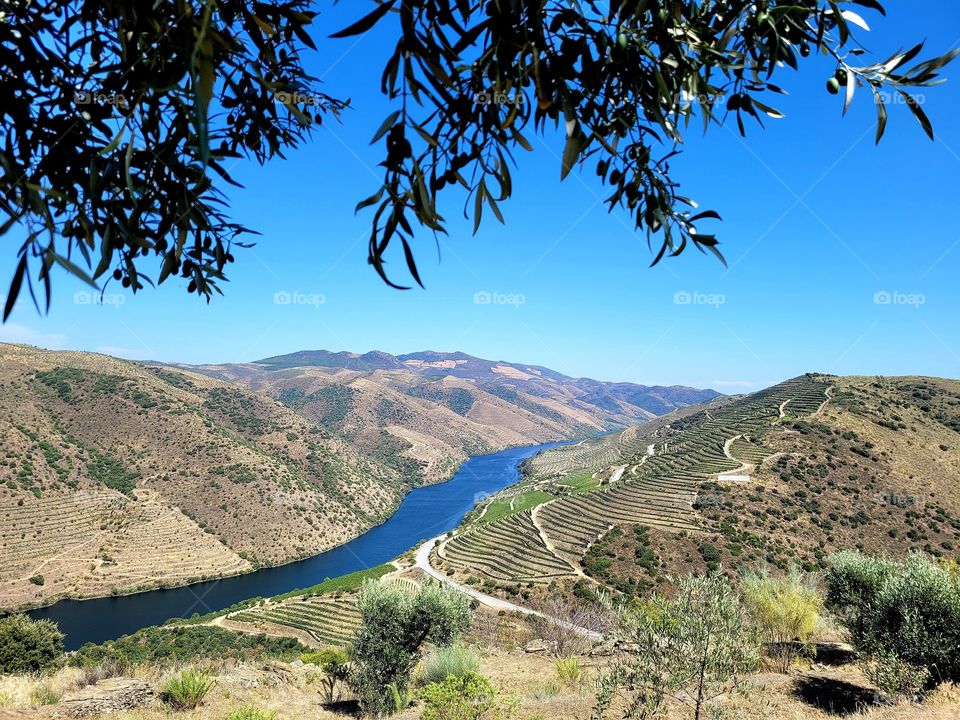 Porto wine river...