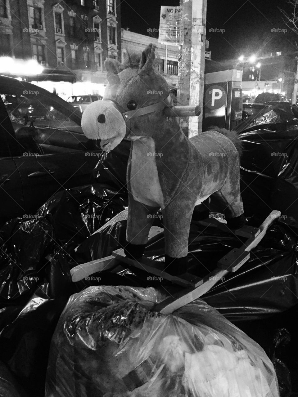 Pony in the trash 