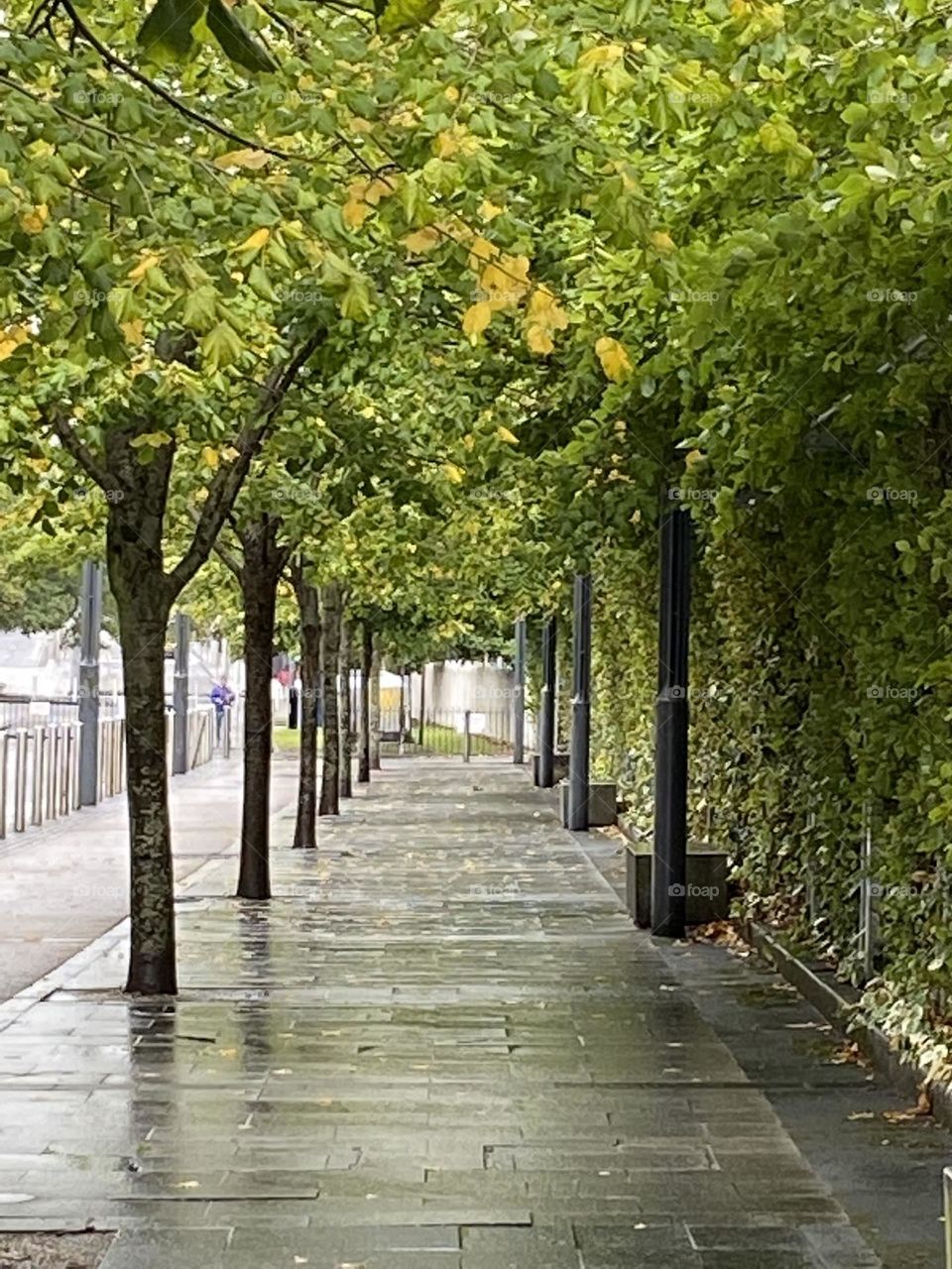 City walkway