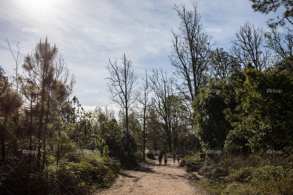 Tourist in the forest 