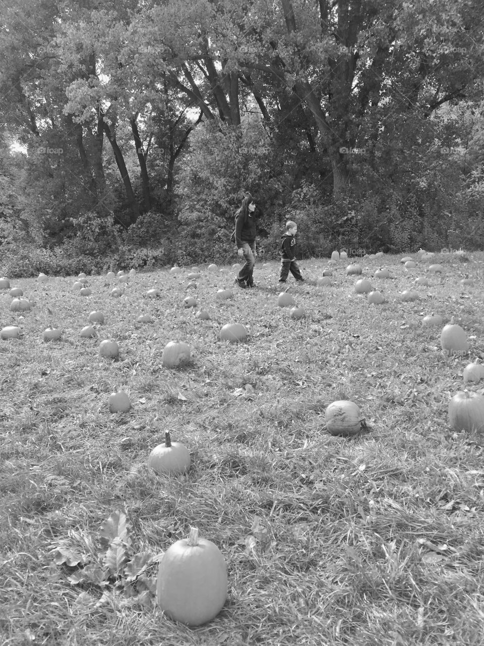 Mother with her son walking on pumpkin field