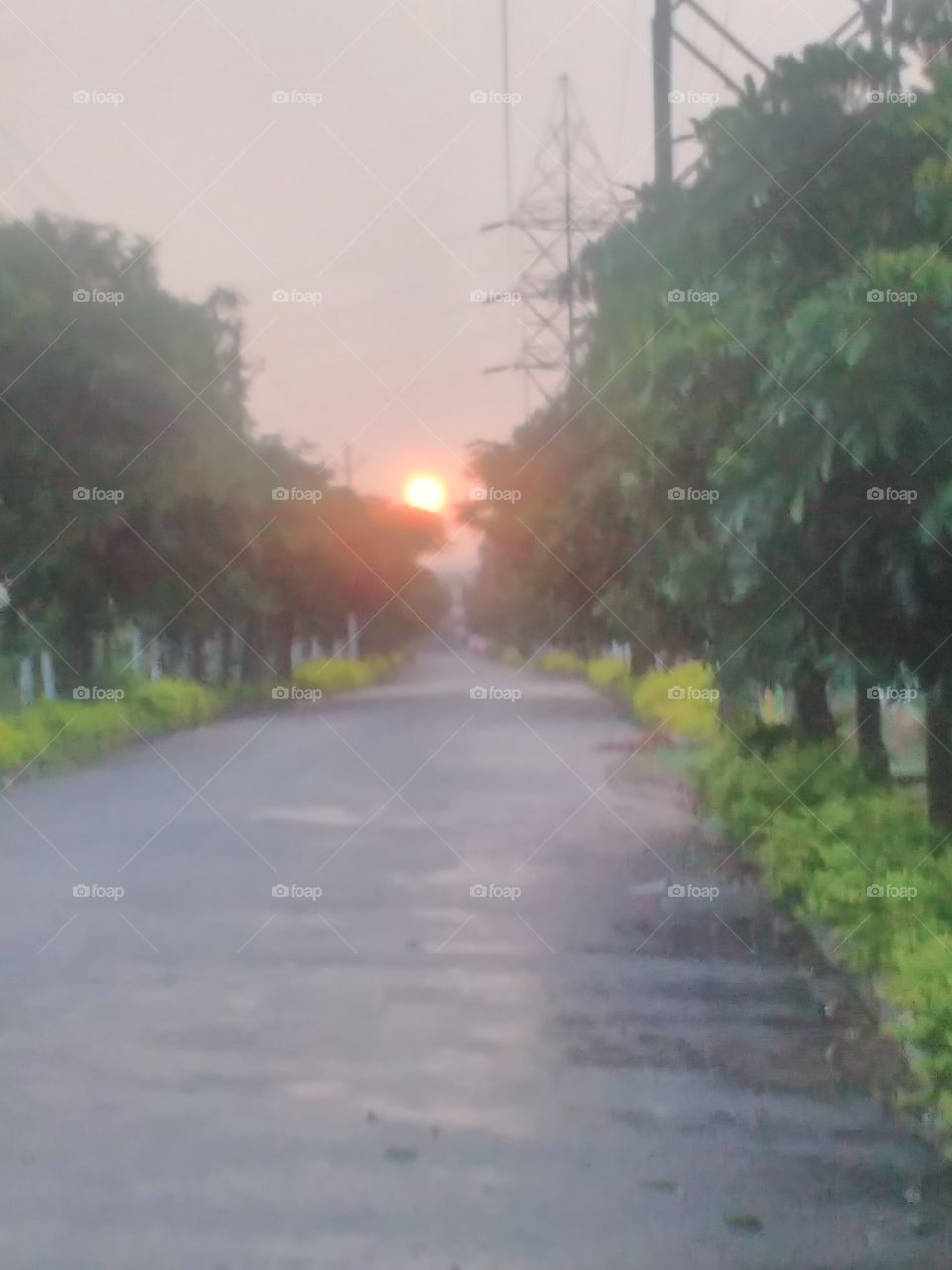 Empty road on evening time .The sun is going to the fall down.