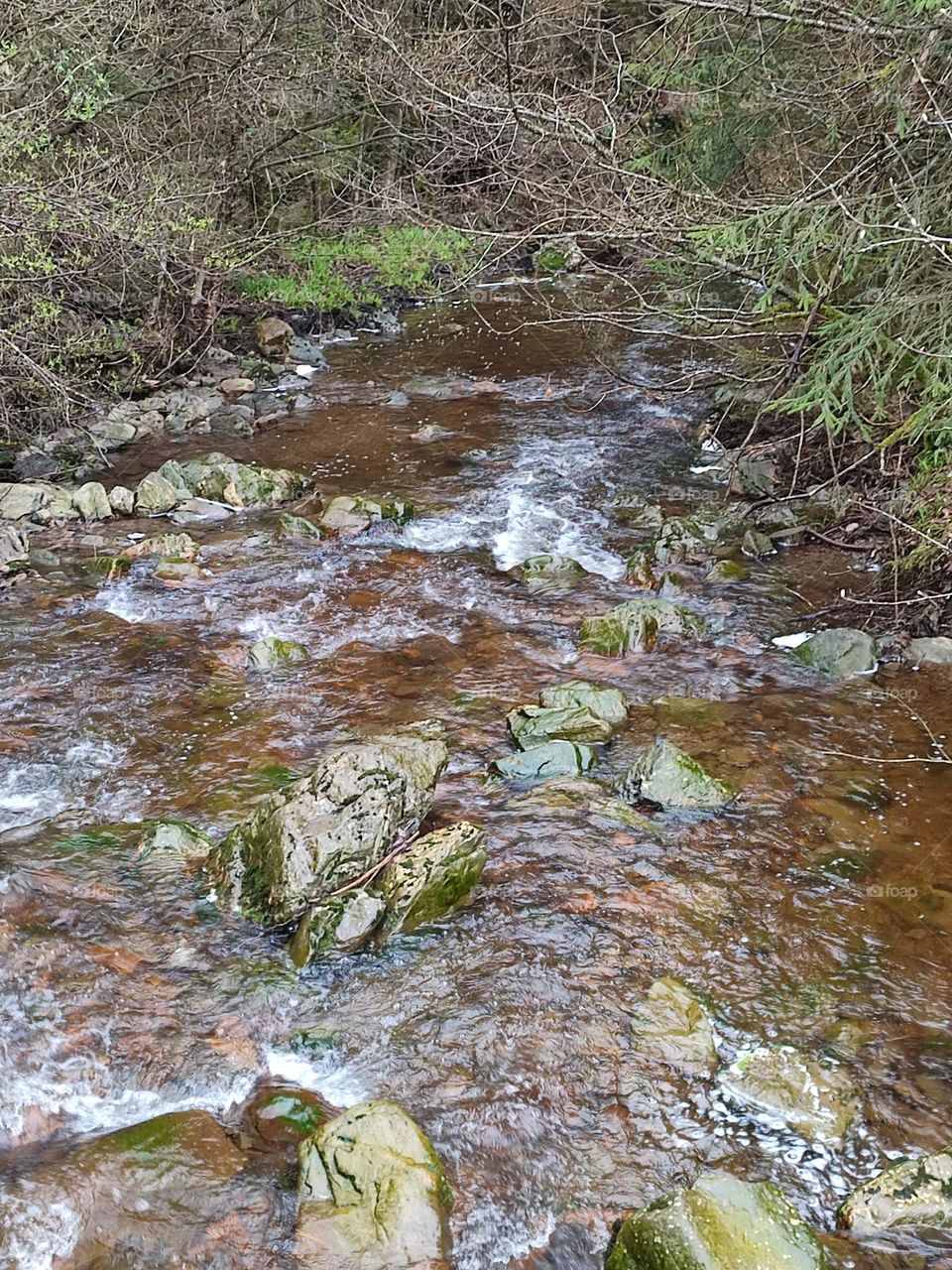 Walk in the woods, Bayehon waterfall