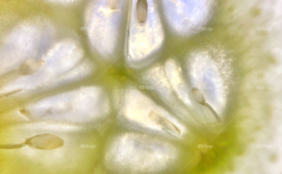 Macro close up of cucumber with seeds