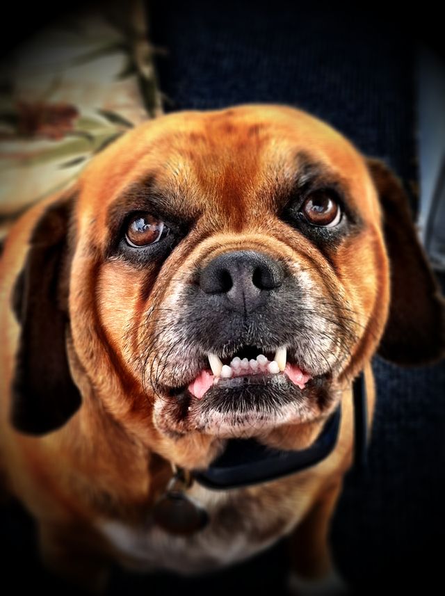 My best friend 