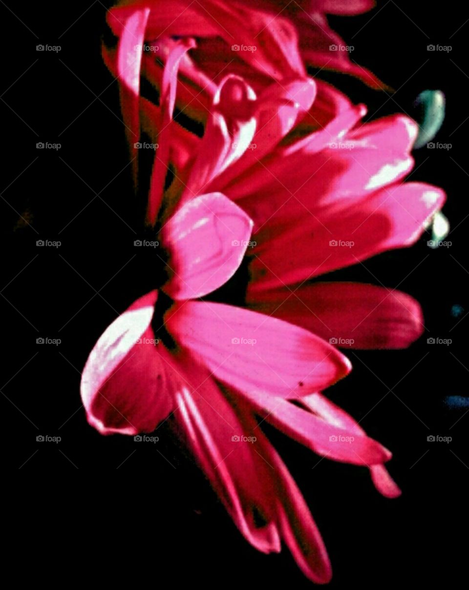 glory. lighting effects