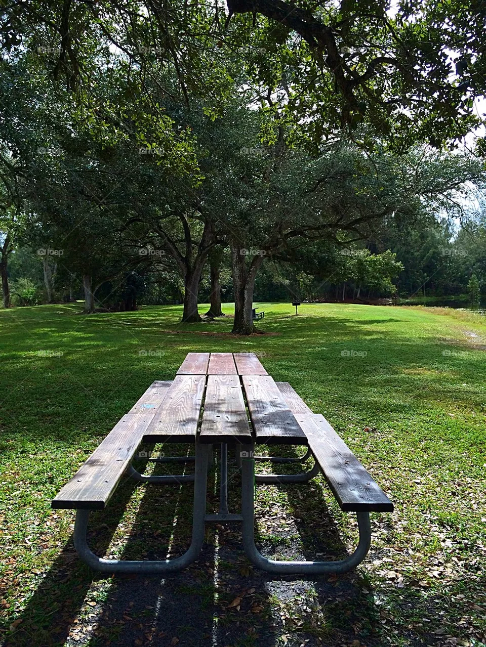Park