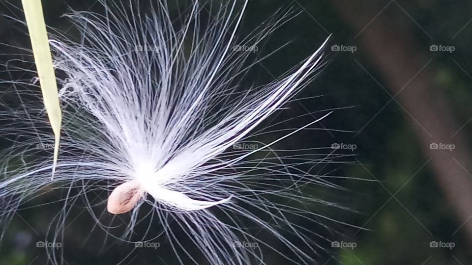 This is evening click very nice