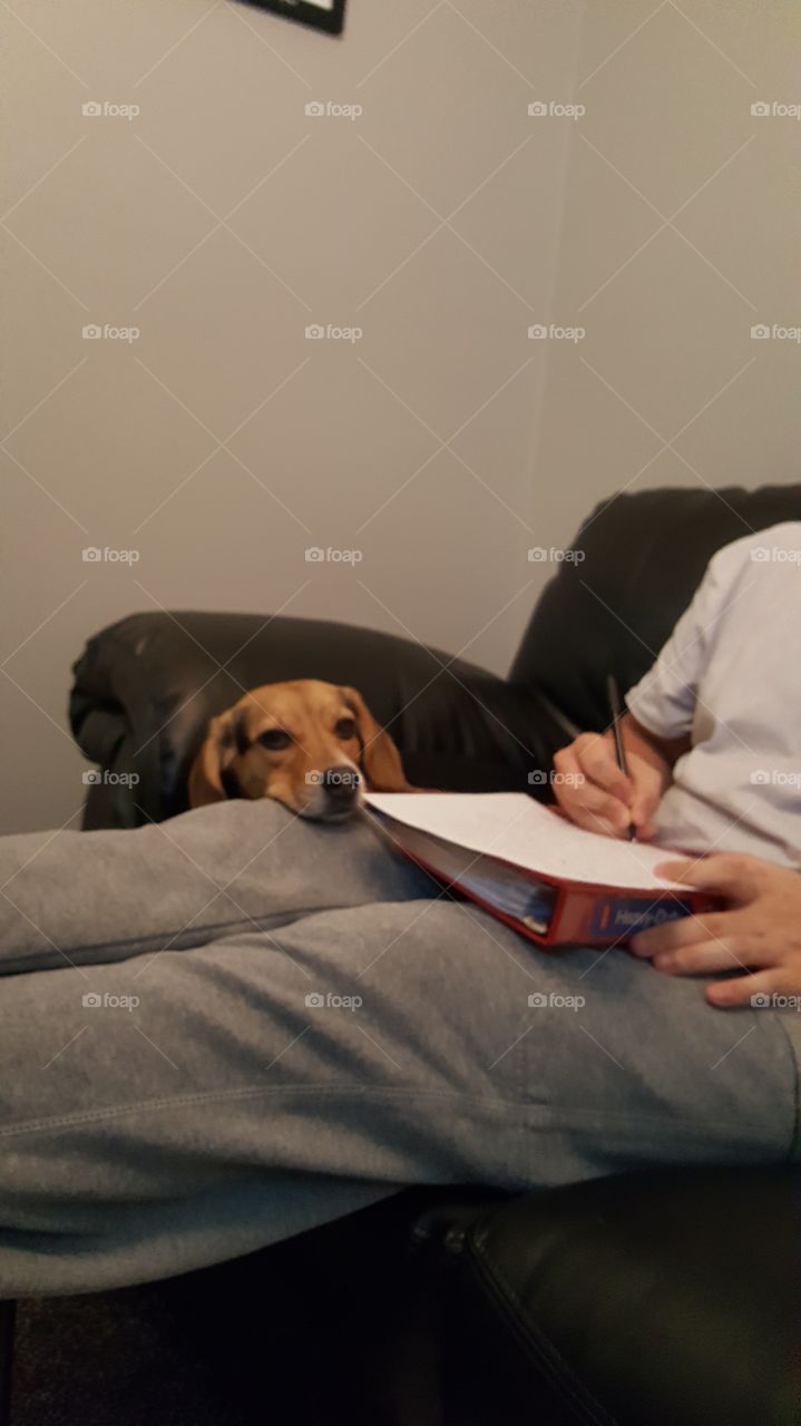 are you done with your homework yet?