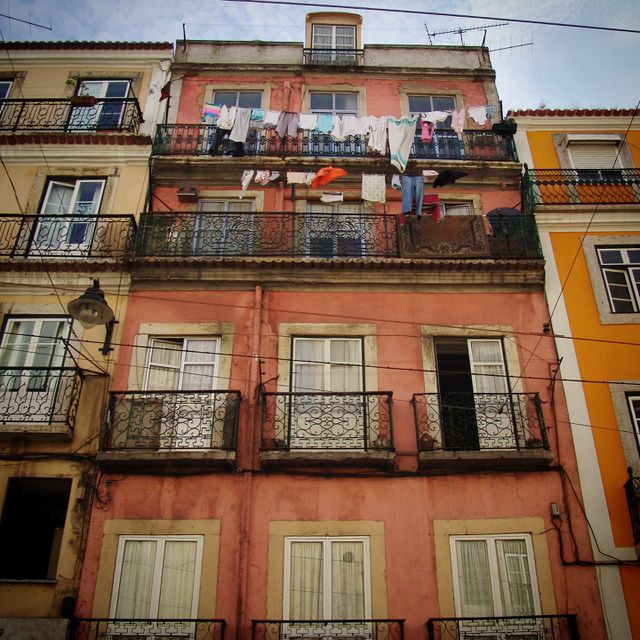 windows