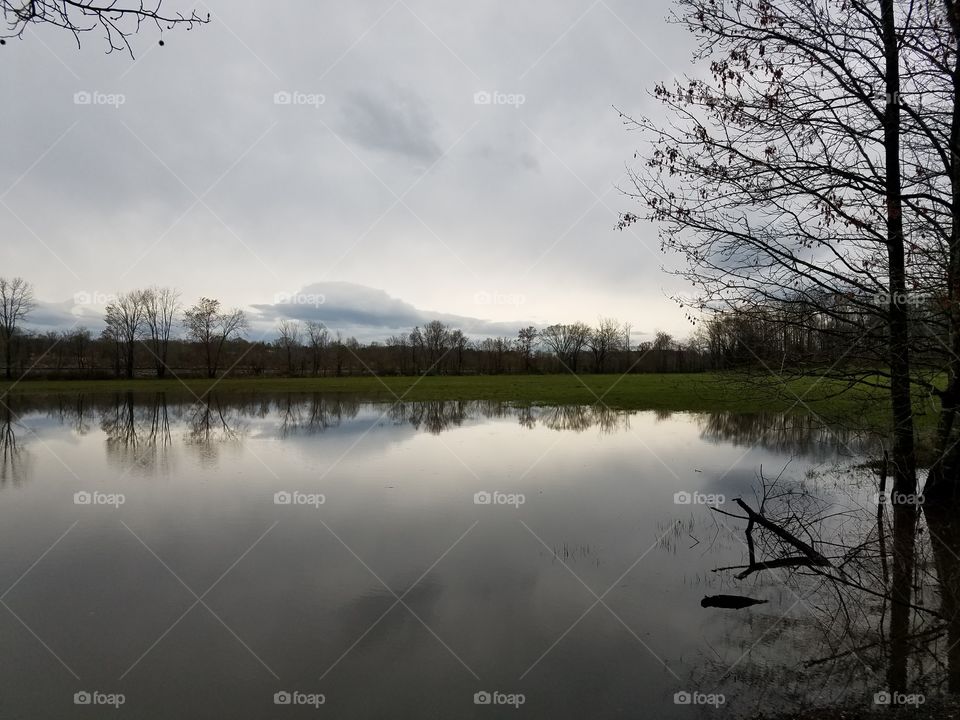 reflections of the morning