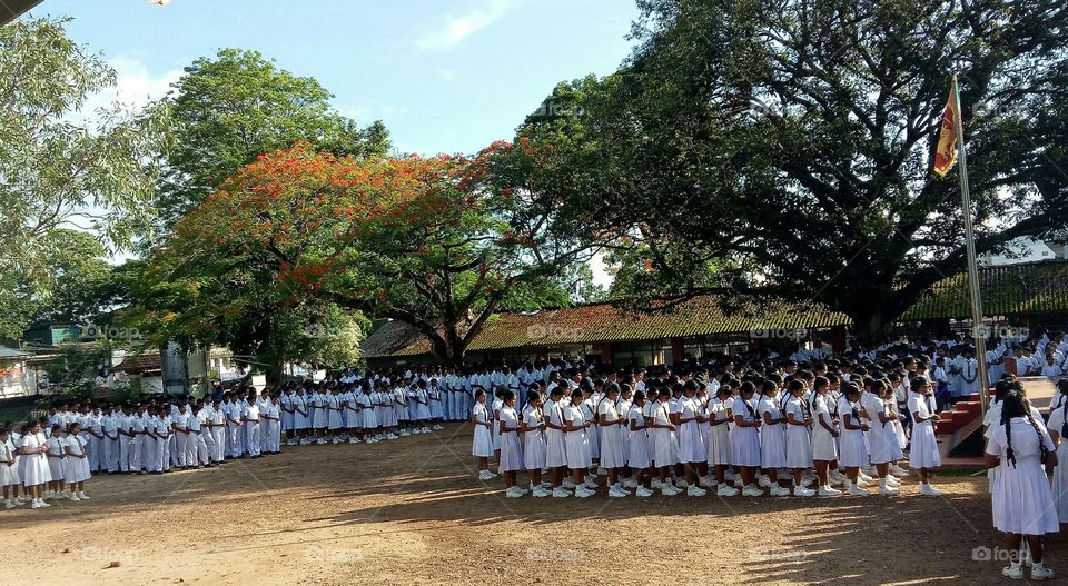 Early morning school in Sri Lanka