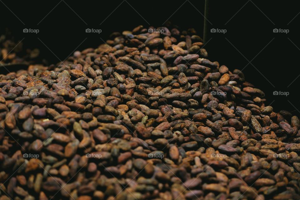 Cocoa beans