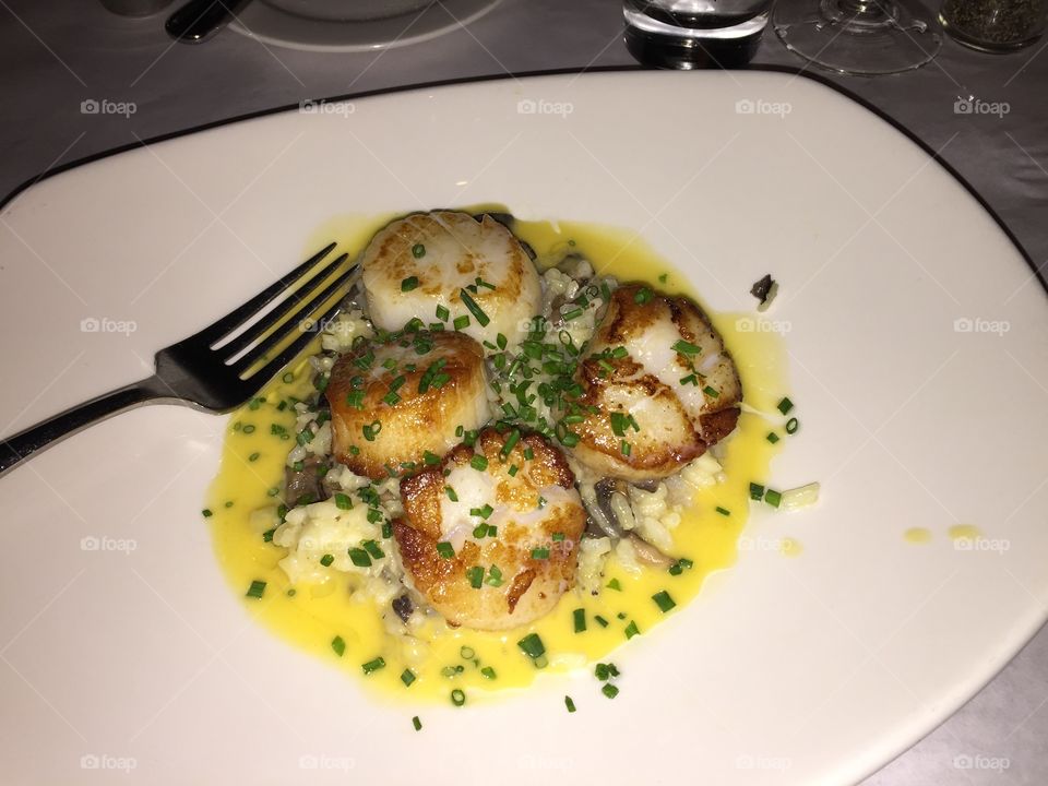 Scallops 