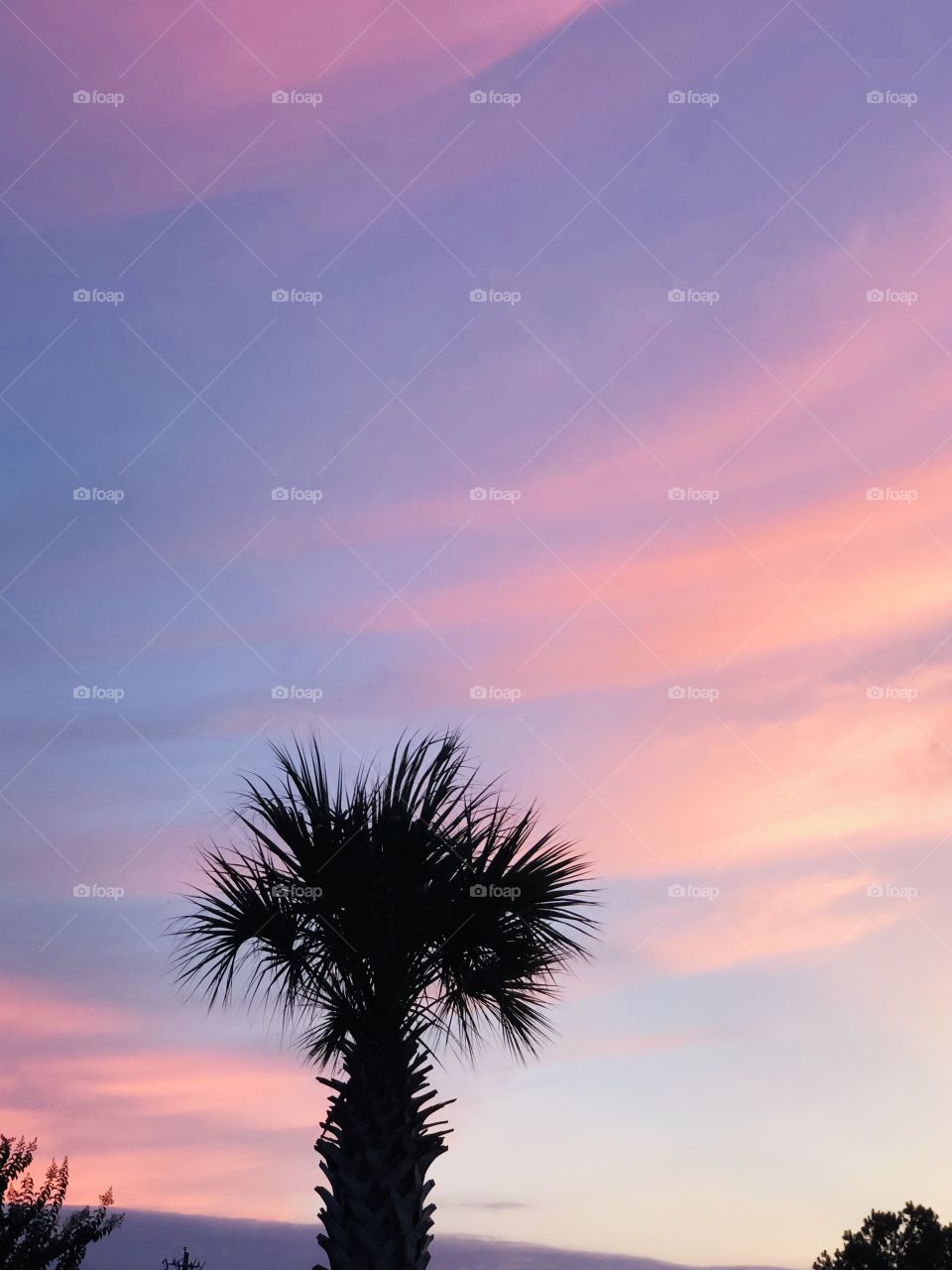 Sunsets and palm trees 🌴