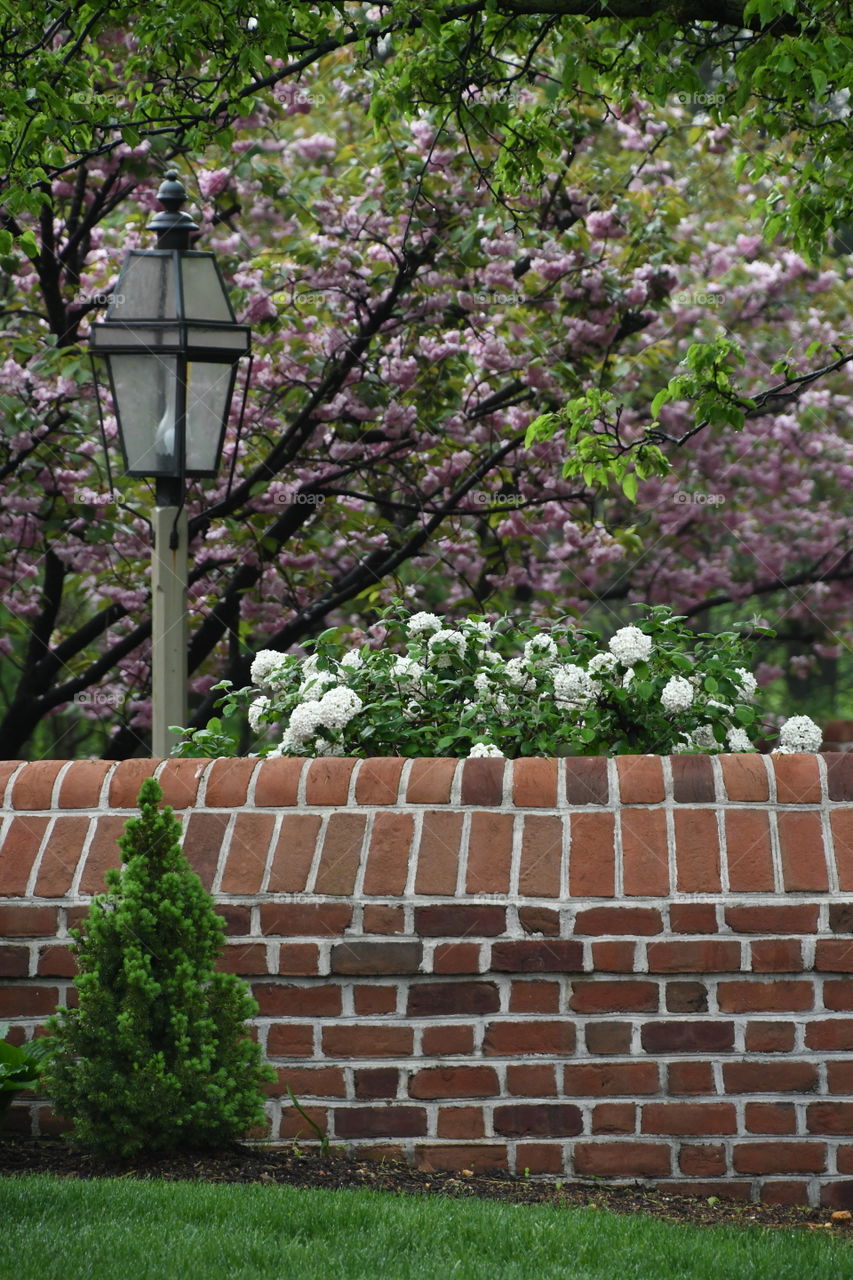 garden scene with flowers on wall and solar light