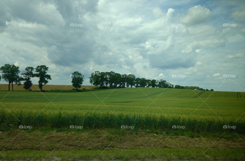 Landscape, Agriculture, No Person, Farm, Tree