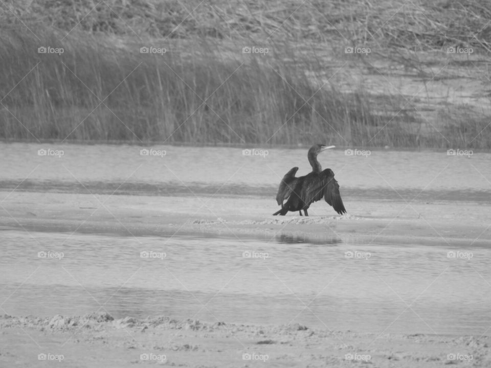 Enjoying the warm summer breeze.