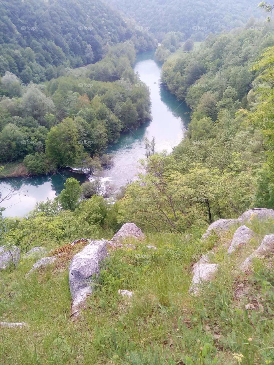 nature