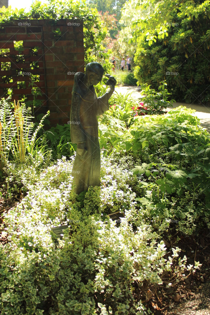 beautiful urban garden in botanical garden of Atlanta 