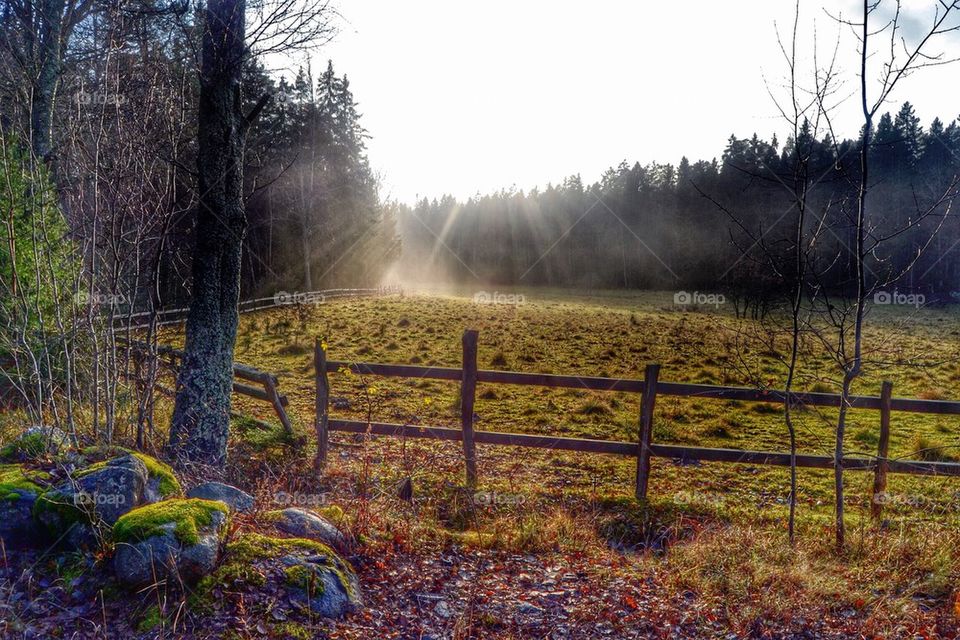 Sun beeming on a fall Field 