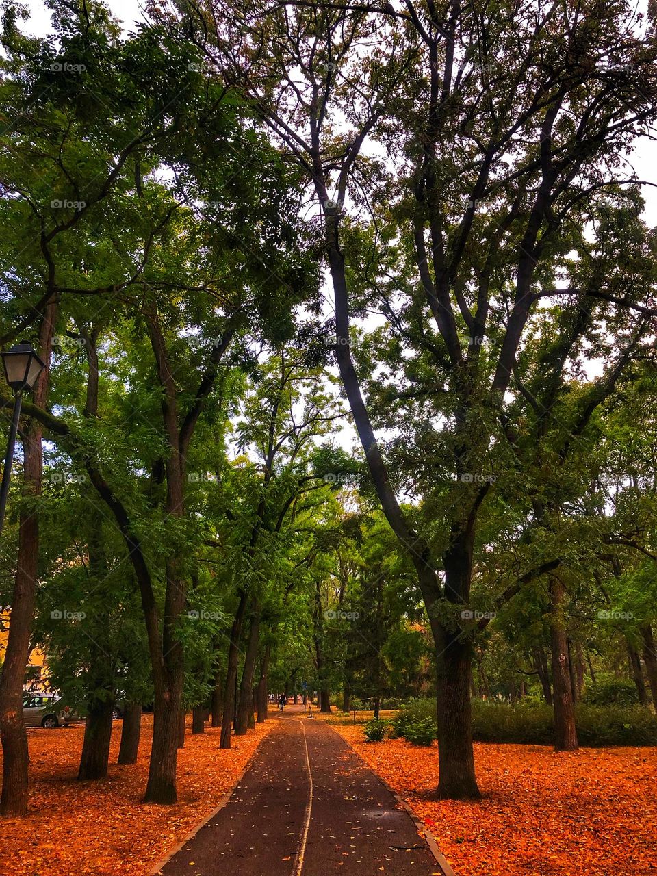 September and autumn 🍂