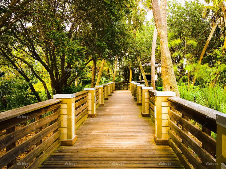 Passageway through the Preserve