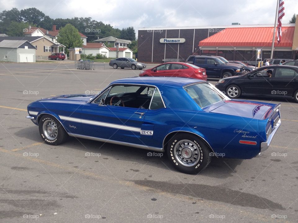 Mustang Blue