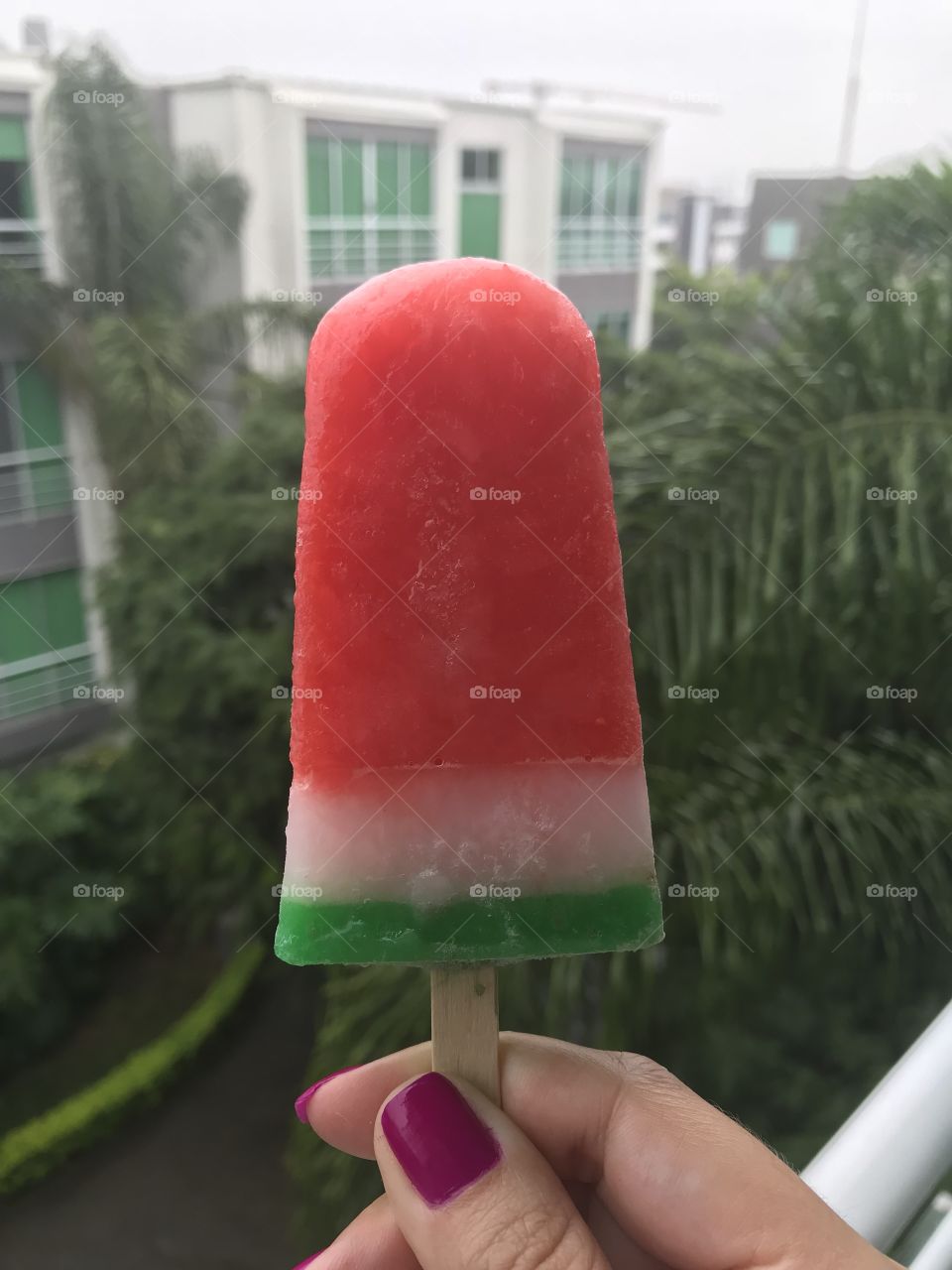 watermelon popsicle