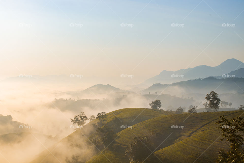 Foggy morning in hills