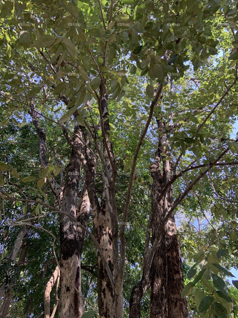 Best of 2021 : Nature, Countryside (Thailand)