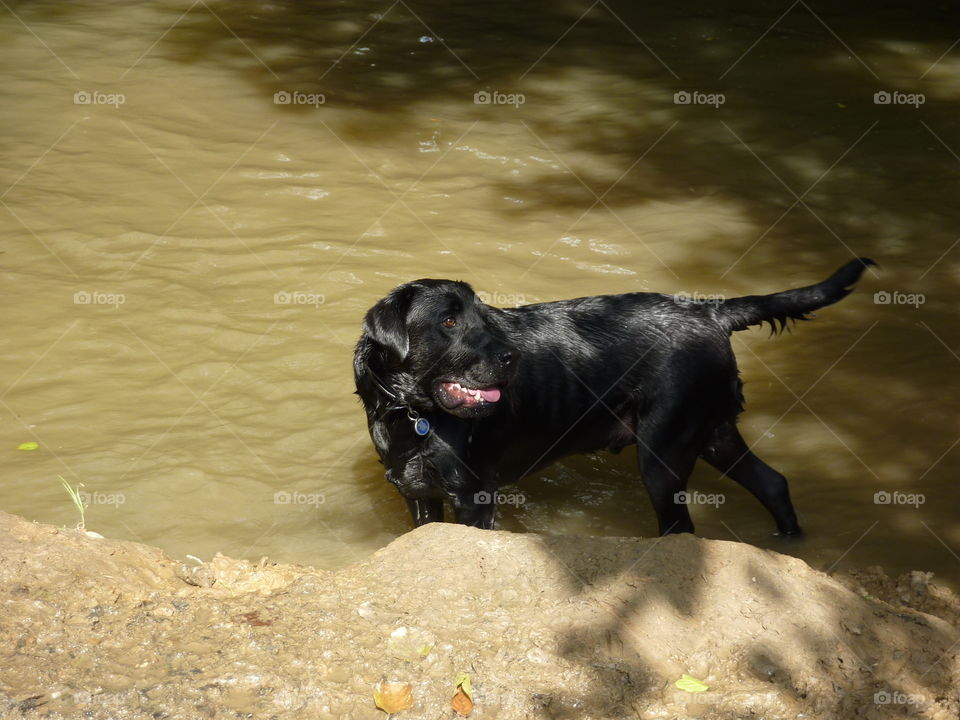 enjoying the water