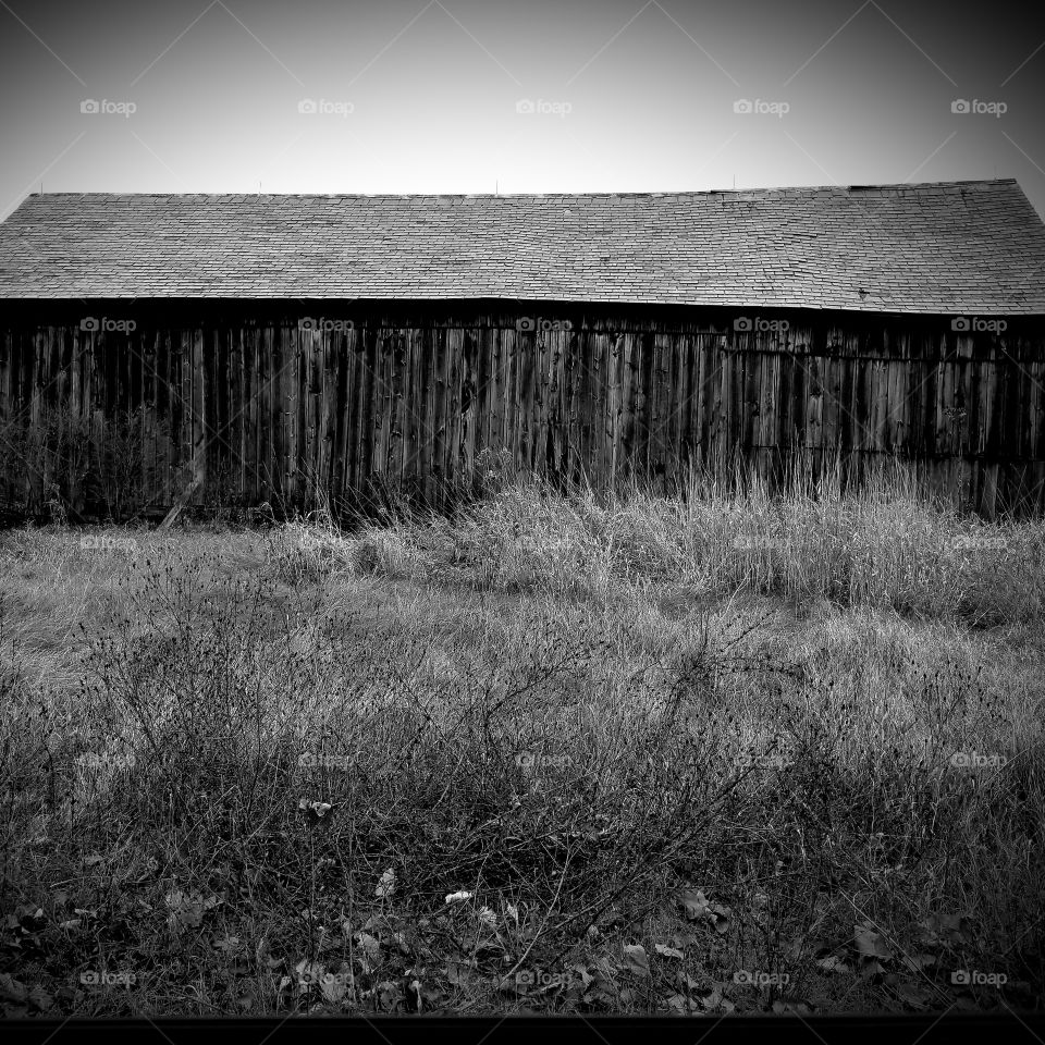 Monochrome, Barn, Black And White, Landscape, Farm