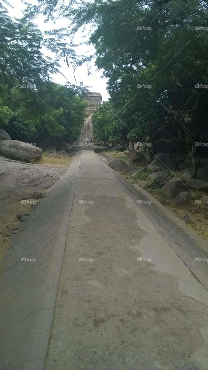 Road, No Person, Landscape, Travel, Tree