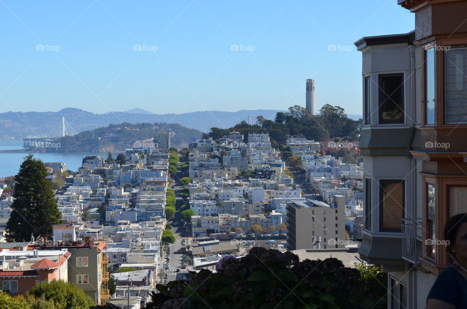 San Francisco Views from Lombard street
