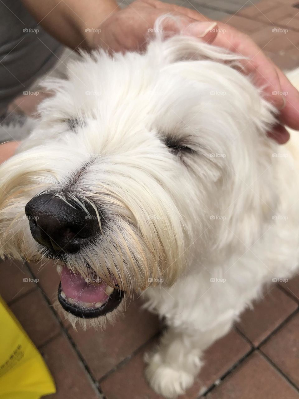 I’m a good good gooddd gal😛