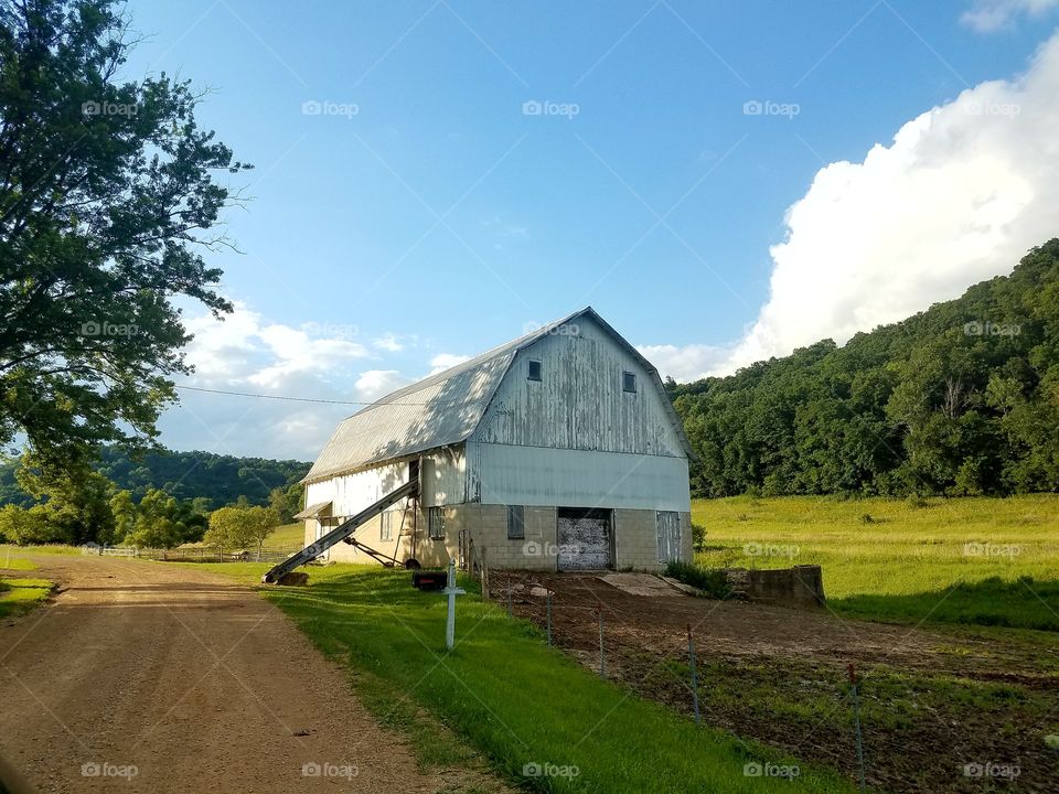 Driving the Back Roads and enjoying everything around us