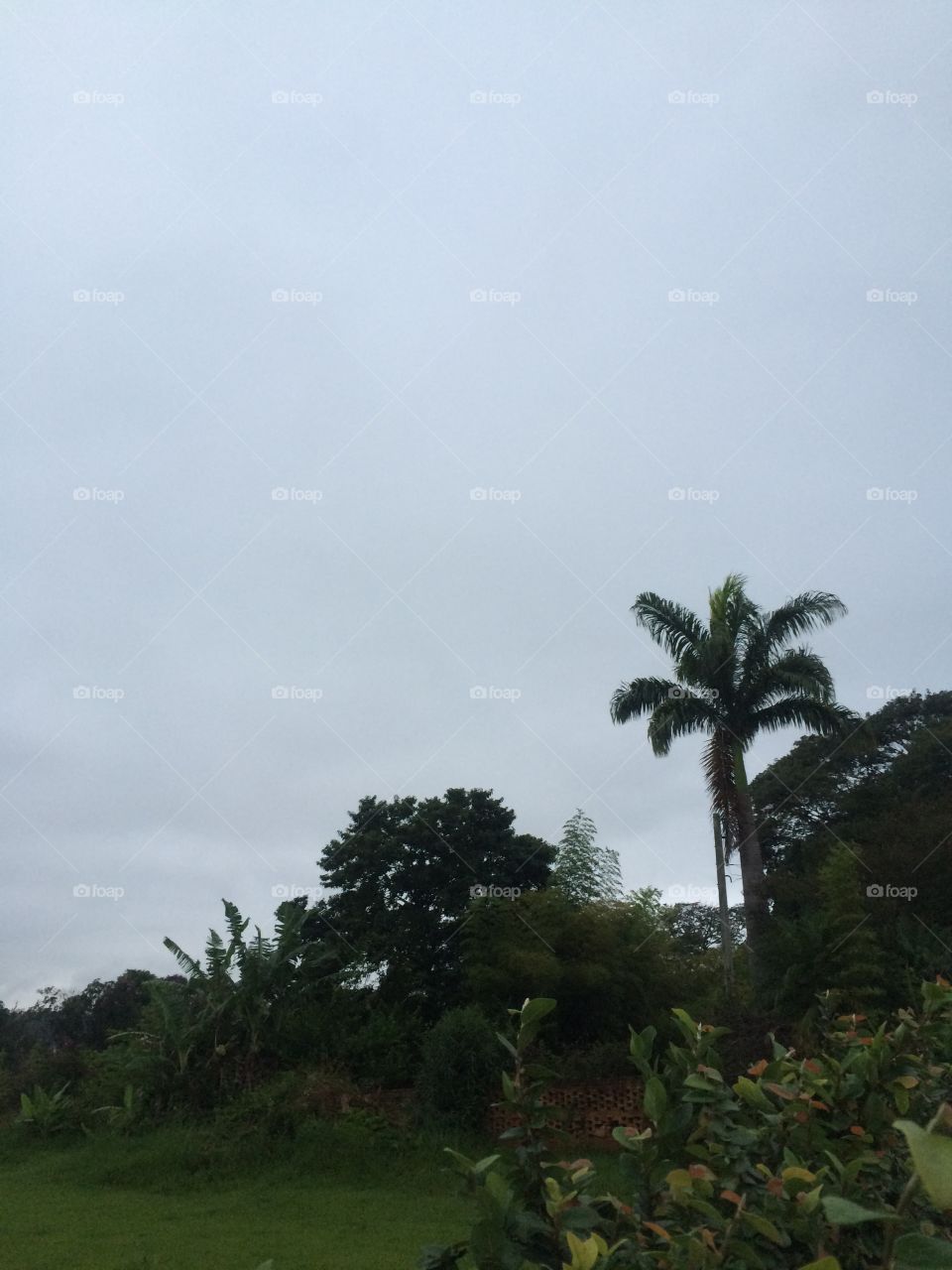 Para onde foi meu #céu azul?
Quase 12h, o cinza tomou conta do horizonte e parece que tudo está escurecendo...
A #chuva virá antes do previsto hoje?
☔️ 
#natureza
#fotografia
#paisagem