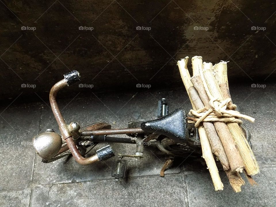 Looking for firewood with an old bicycle