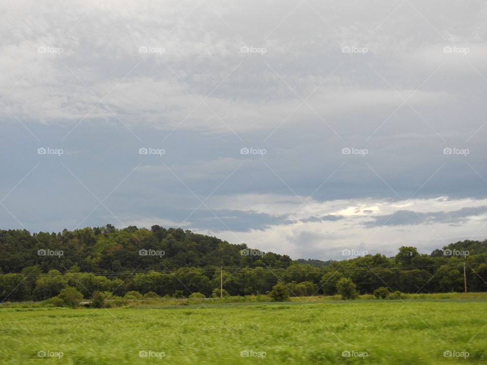 Landscape, Tree, Sky, No Person, Nature